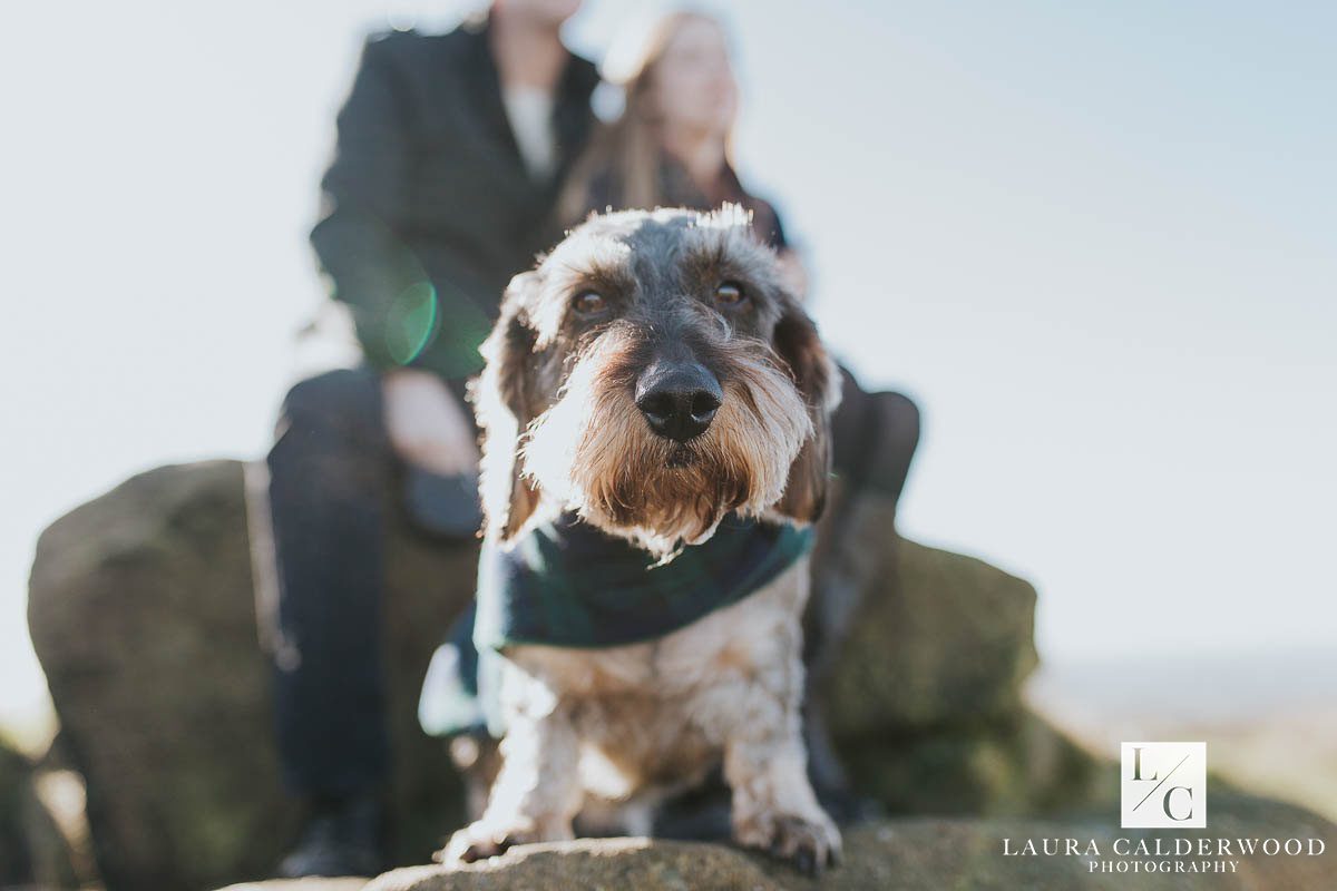 Yorkshire Engagement Shoots | pre wedding shoot with dachshund | by Ilkley wedding photographer Laura Calderwood