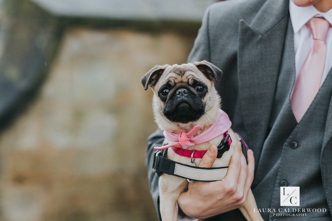 wedding photography yorkshire